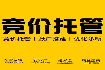 揭秘百度推广费用：从零到一的营销策略